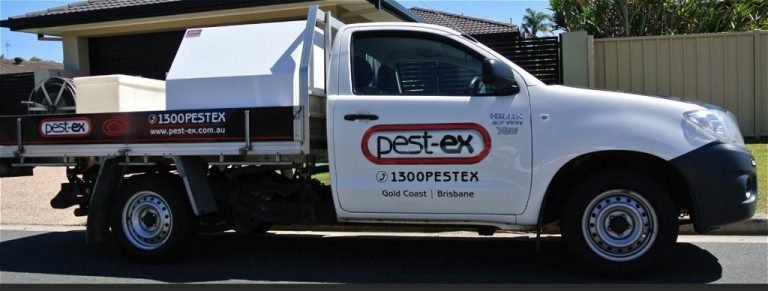 Pest Control East Brisbane | Pest Ex