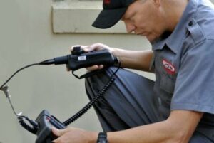 Pest Control Pimpama | Pest Ex