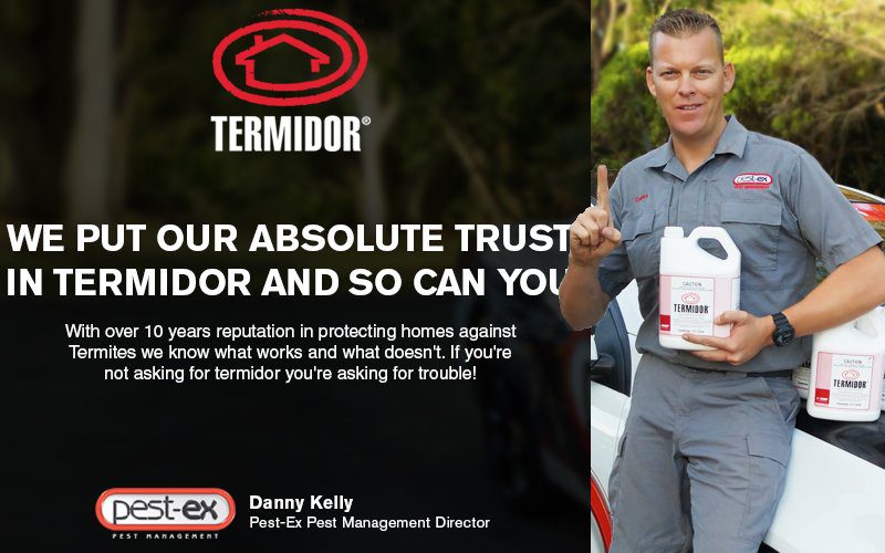 Termidor The Ultimate Solution For Termite Treatment And Control Pest Ex