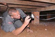 Pest Control Ballina | Pest Ex