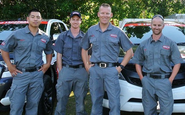 Pest Control Coorparoo | Pest Ex