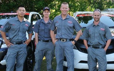 Pest Control Bulimba | Pest Ex