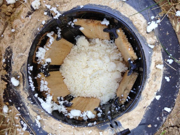 How Often Should Termite Bait Stations Be Checked?