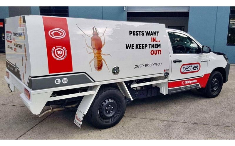 Brisbane Pest Control & Termite Treatment Services | Pest Ex